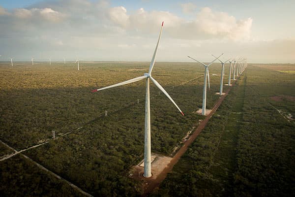 Conselho aprova proposta pela suspensão de recomendação que dificulta implantação de eólicas no RN