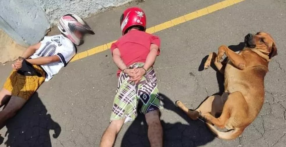 Cão deita ao lado de suspeitos durante abordagem policial no Paraná, e foto viraliza: ‘Cachorro foi parceiro dos caras', diz PM