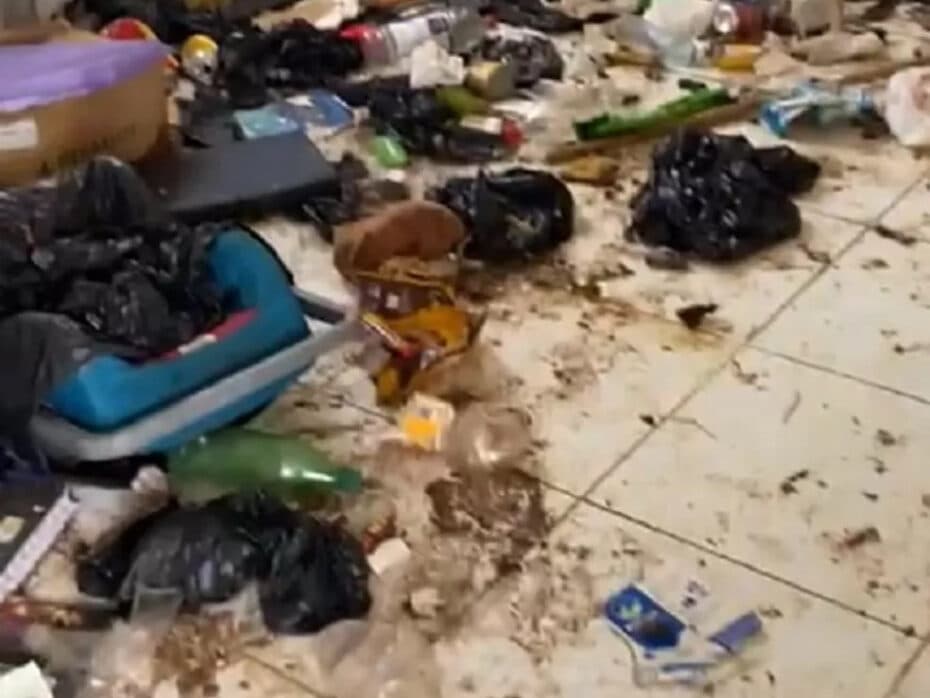 Psicóloga é presa após guarda municipal encontrar filho adolescente e 23 cachorros abandonados em Mossoró