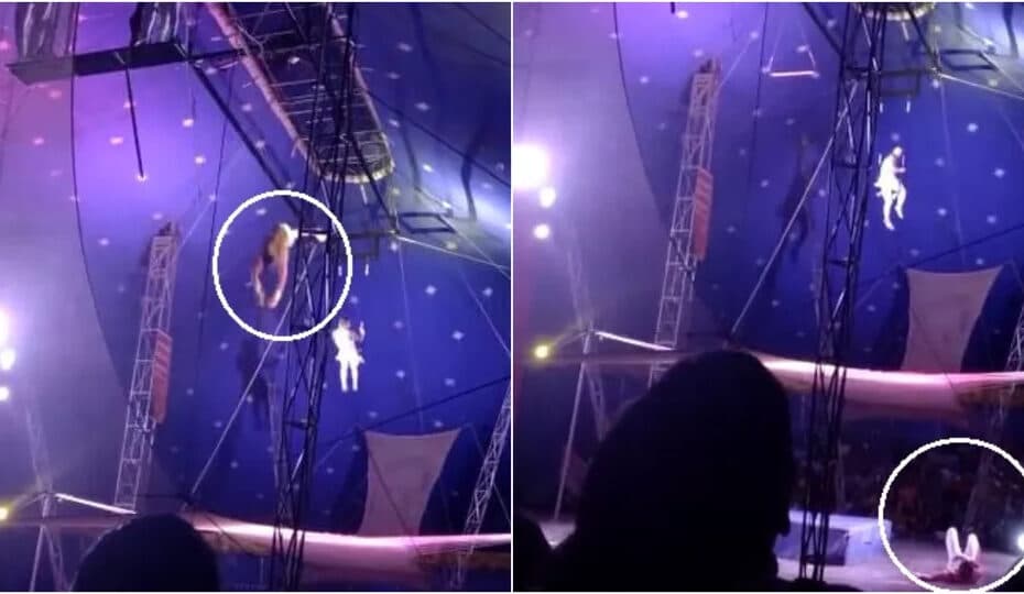 VÍDEO: Trapezista despenca durante acrobacia na estreia de circo no Ceará