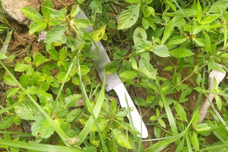Mulher trans de 18 anos é morta a facadas em Natal; ex-namorado confessa crime