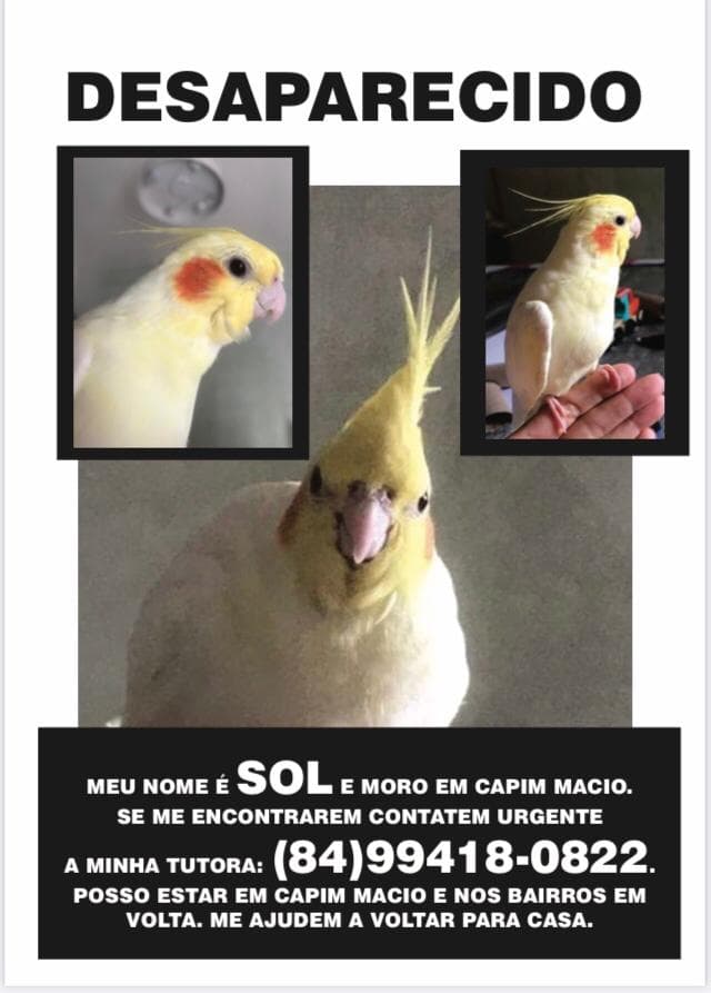 Sol está desaparecido