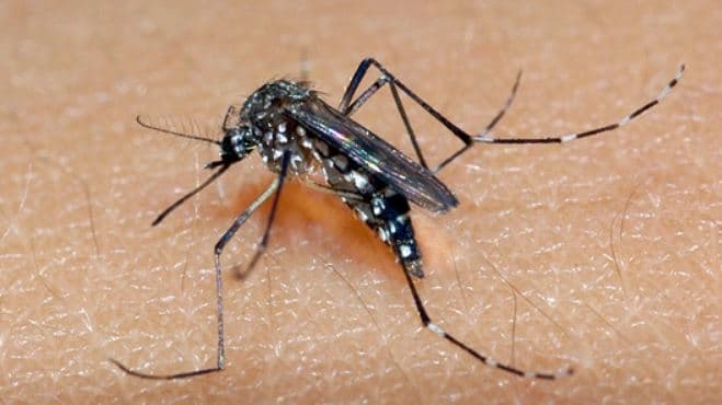 RN registra mais casos de dengue em 4 meses de 2022 do que em todo o ano de 2021, diz Ministério da Saúde