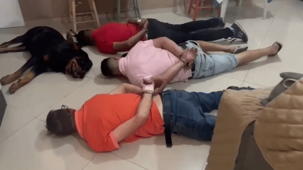 [FOTO] VIRALIZOU: Cachorro ‘se rende' junto com suspeitos de tráfico de drogas durante operação