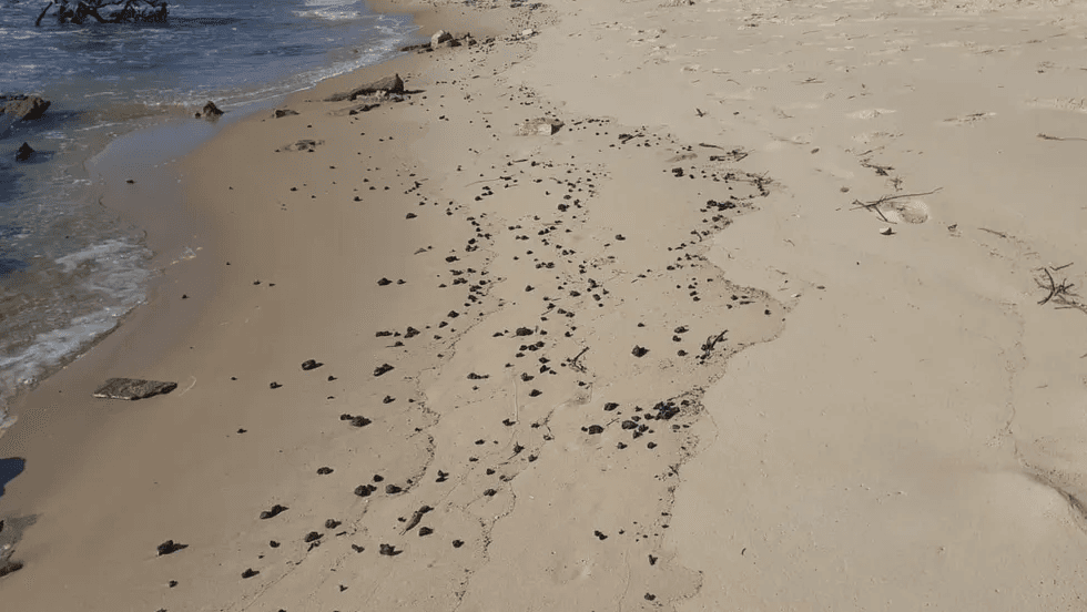 Quase 1 tonelada de óleo é recolhida de praias do RN após resíduos reaparecerem