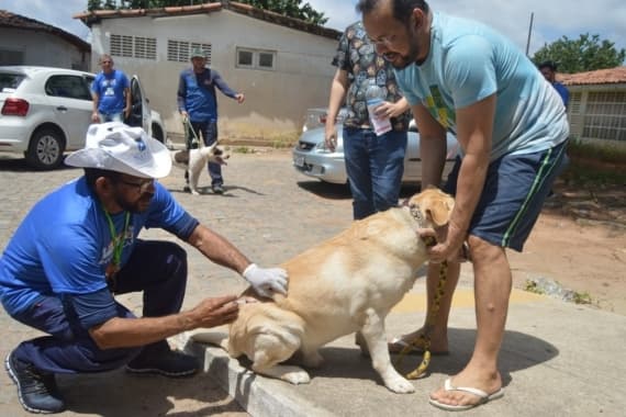 Natal realiza Dia D de vacinação antirrábica neste sábado; confira pontos