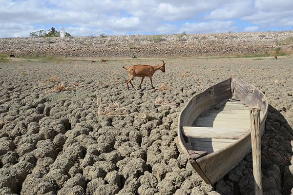 Alexandria entra em situação de emergência devido à estiagem
