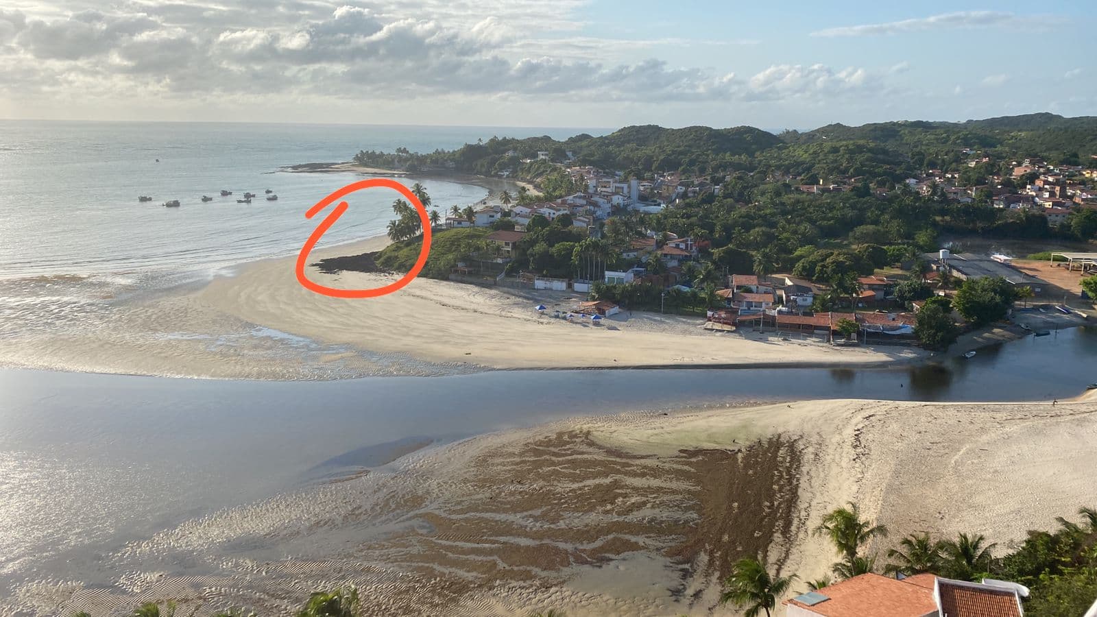 VÍDEO: Incêndio atinge vegetação na praia de Pirangi do Sul e ameaça casas