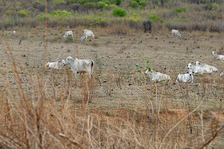 RN tem 5 cidades em rodízio e uma em colapso de água