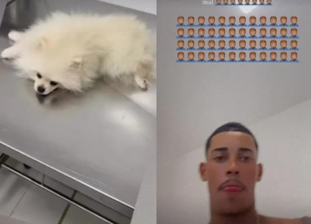 VÍDEO: Cachorro do MC Poze do Rodo come maconha e vai parar no veterinário: "Comeu meu baseado, Zé Droguinha"
