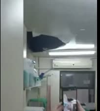 [VÍDEO] Teto desaba e cai em cima de funcionária no Walfredo Gurgel