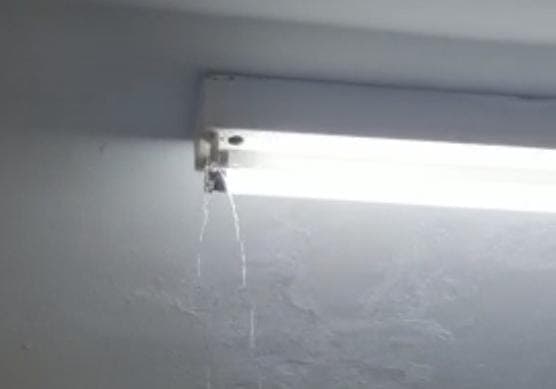 VÍDEO: Água escorre pelas lâmpadas no Hemocentro de Caicó após chuvas