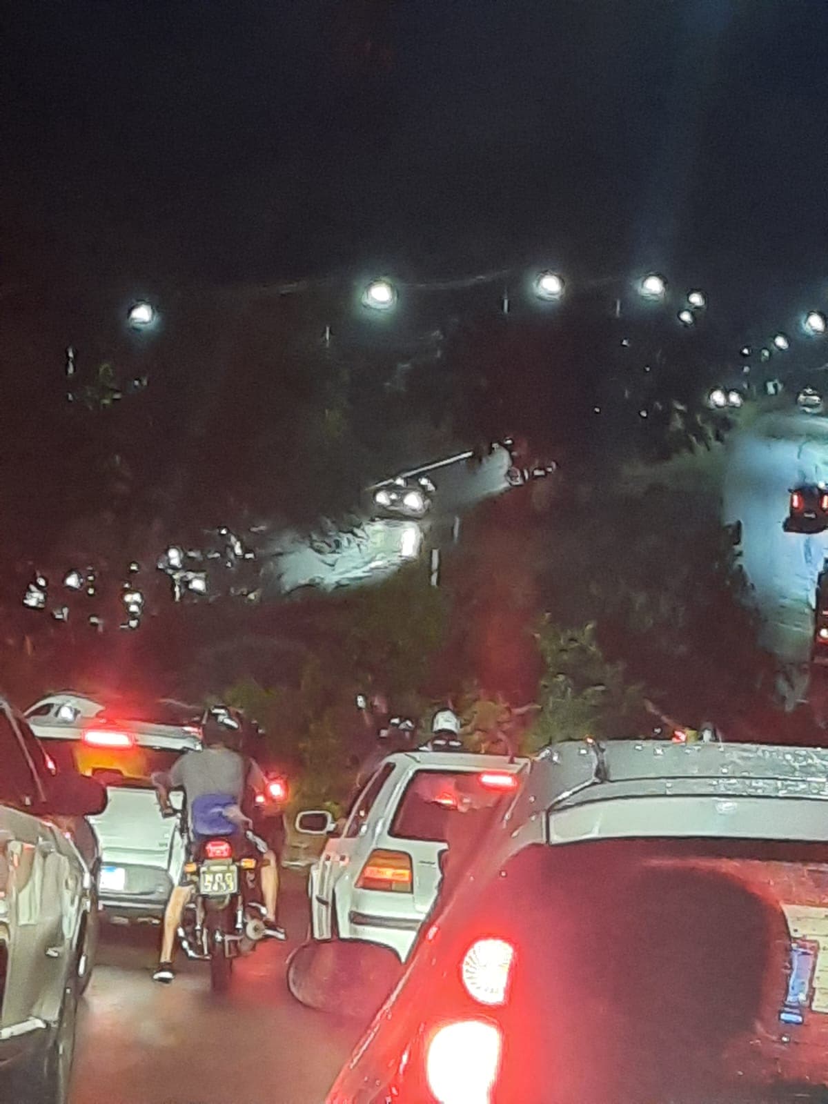 VÍDEO E FOTOS: Queda de árvore causa engarrafamento na Av. Olavo Lacerda Montenegro, em Nova Parnamirim