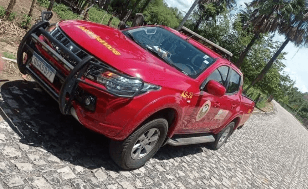 Dois homens e cachorro morrem após ataques de abelhas no interior do RN