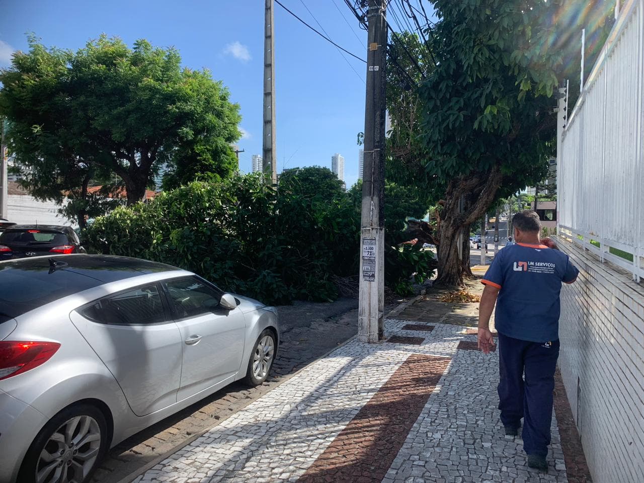 Colisão de veículo com árvore atrapalha trânsito na Zona Sul de Natal