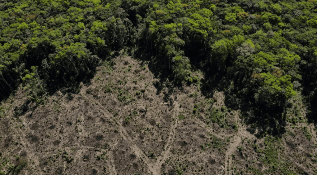 Biden vai anunciar hoje US$ 500 milhões para Fundo Amazônia, diz Casa Branca