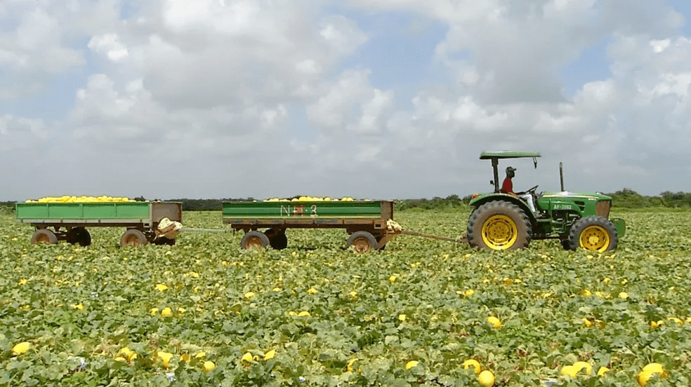Demissões na agropecuária e indústria causam saldo negativo de empregos em março no RN