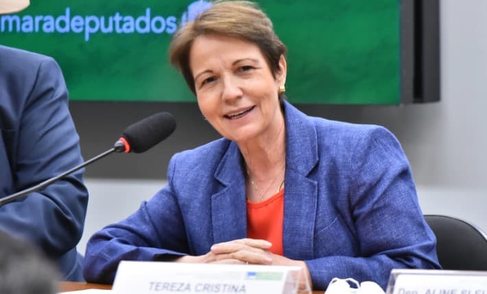 Sem-terra invadem fazenda da senadora Tereza Cristina e de seus familiares em Terenos-MS
