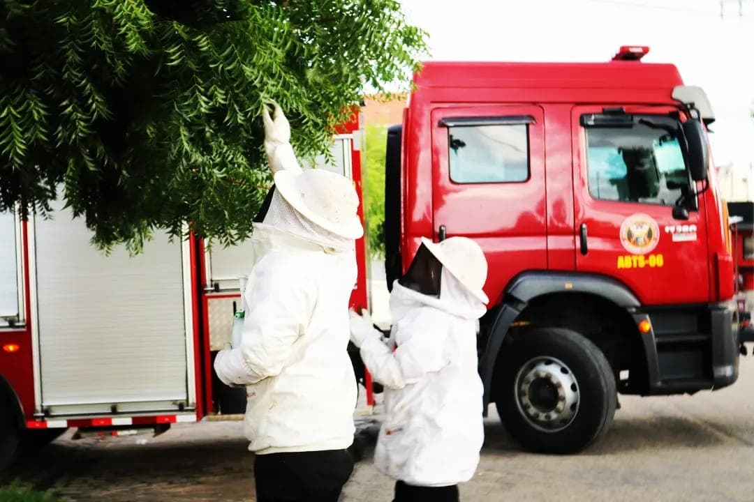 Bombeiros já atenderam mais de 500 ocorrências de enxames de insetos em Natal e região