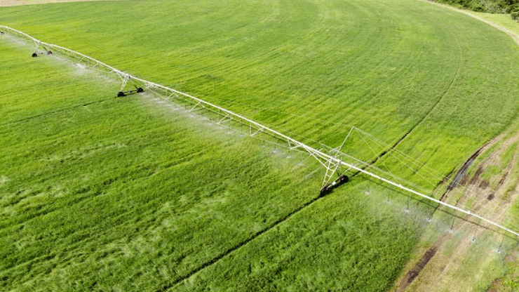 Cobrança por água pode elevar preços ao setor da fruticultura no RN