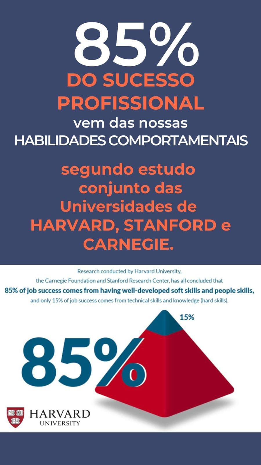Habilidades Sociais e Sucesso Profissional