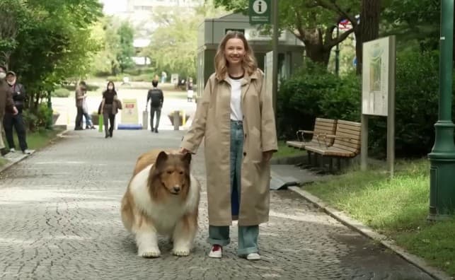 VÍDEO E FOTOS: Japonês que gastou R$ 70 mil para se "transformar" em cachorro faz 1º passeio e chama a atenção do público pelas ruas