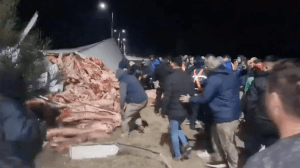 VÍDEO: Caminhão com 23 toneladas de carne é saqueado na Argentina