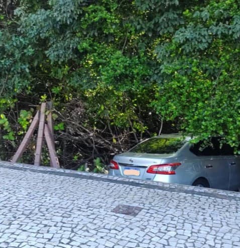 VÍDEO E FOTOS: Carro sai da pista e invade área de mata às margens da Av. Roberto Freire após motorista perder o controle