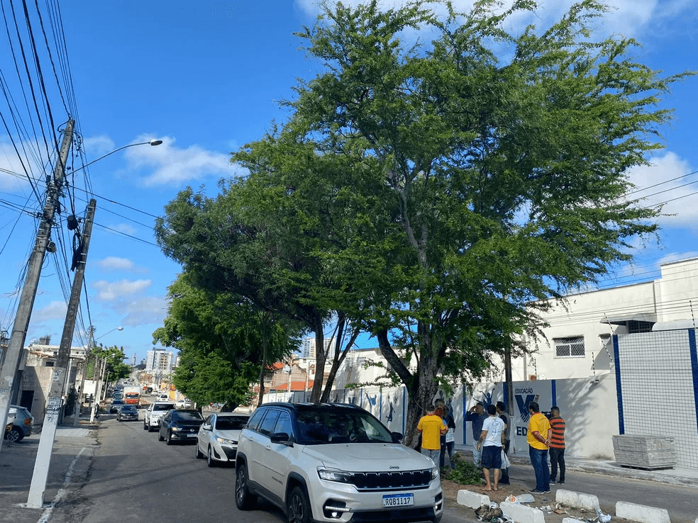 Prefeitura de Natal suspende corte de árvores na Avenida Jaguarari após protesto de moradores