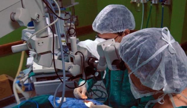 66.250 esperam por transplante no Brasil e maior fila é por rim