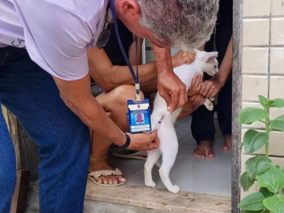 Lote com 300 mil doses de vacina antirrábica perde temperatura a caminho do RN e pode acabar descartado