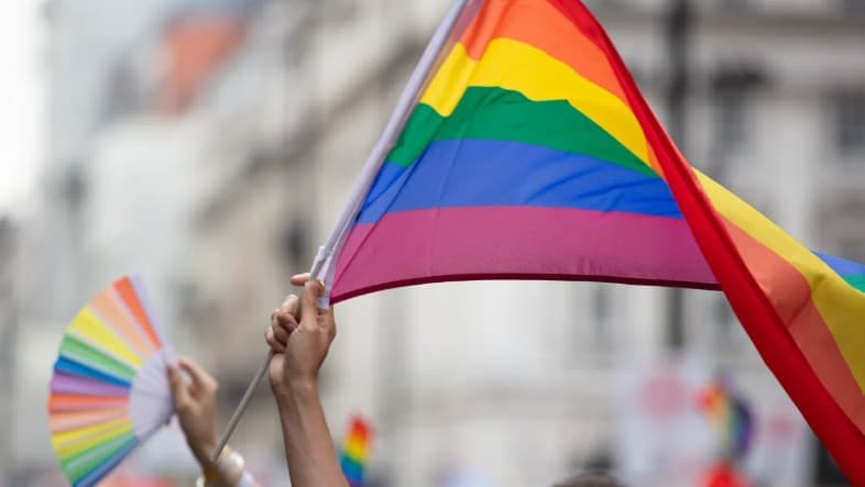 ARTIGO: Comunidade LGBTQIAPN+, não atrapalhe a comunidade LGBTQIAPN+. Por Marcus Aragão