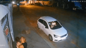 VÍDEO: Com filha no colo, PM mata cachorro que avançava contra ele; tutor do animal registra dois boletins de ocorrência contra o militar