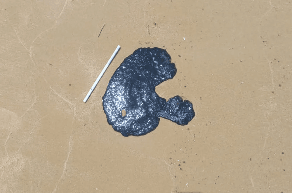 Presidente da Petrobras se manifesta sobre óleo encontrado em praias do RN