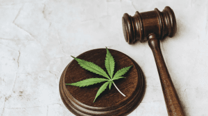 53% são a favor de Supremo descriminalizar uso pessoal da maconha, mostra PoderData