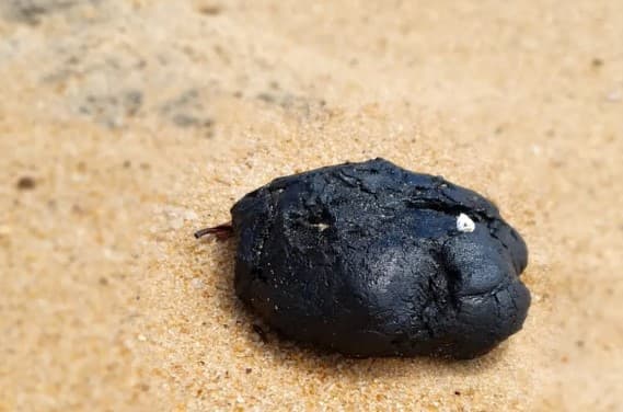 Manchas de óleo voltam a aparecer também na praia de Pipa