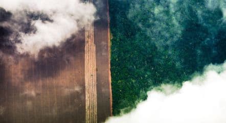 Ministério do Meio Ambiente sofrerá corte de R$ 700 milhões em 2024