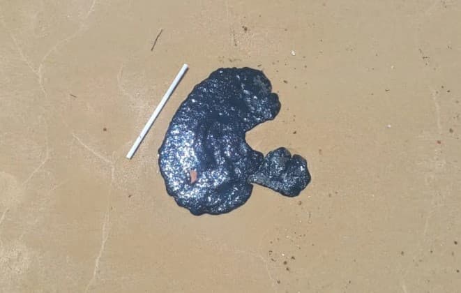 VÍDEO E FOTOS: Manchas de óleo são encontradas por banhistas na praia de Camurupim