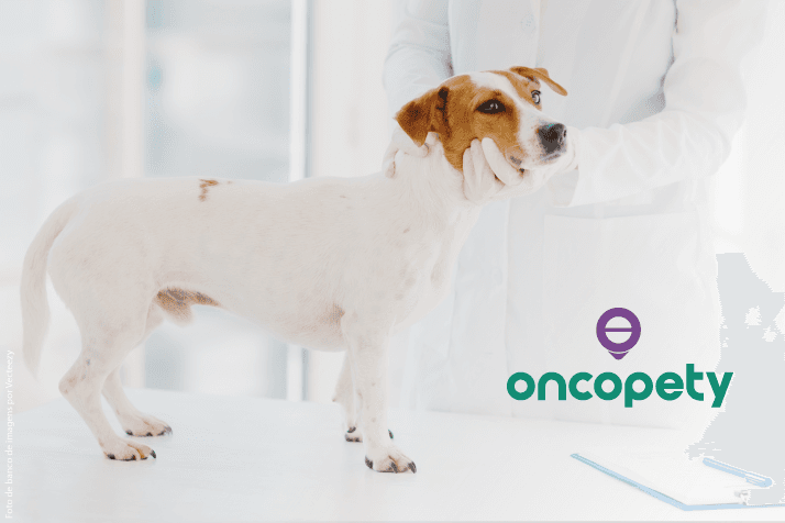 Oncopety alerta para o diagnóstico precoce de câncer de próstata em cães