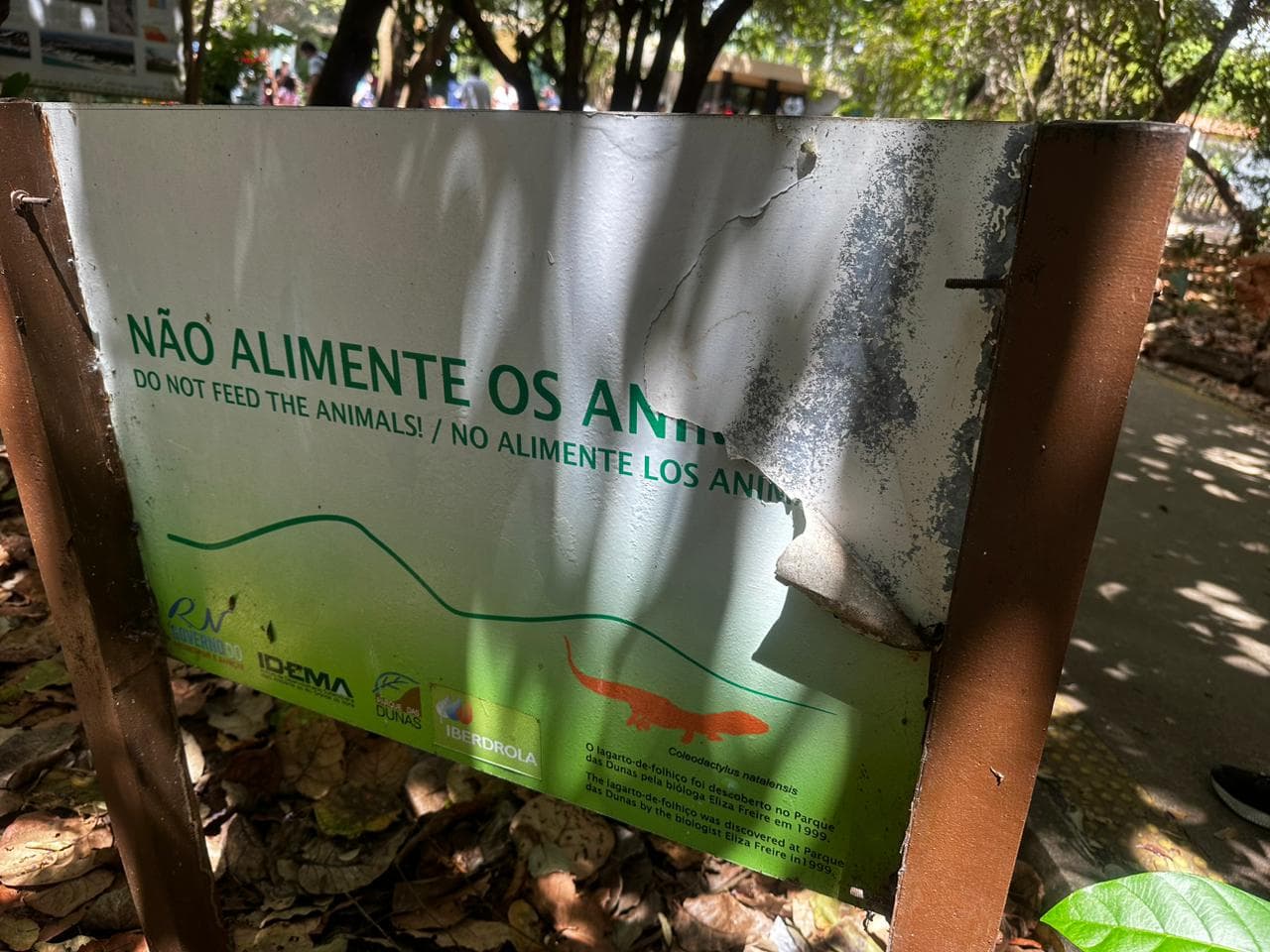 FOTOS: Até o Parque das Dunas está abandonado