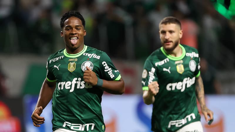 Palmeiras campeão brasileiro? Veja as chances de título no domingo