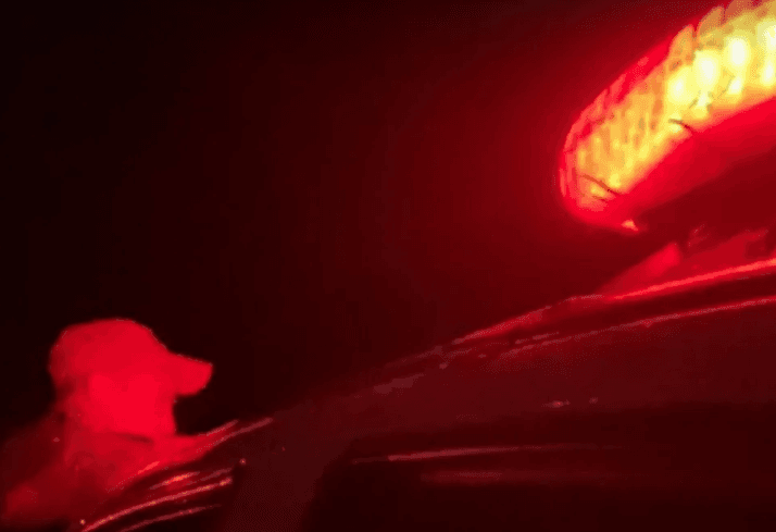 Mãe e padrasto são presos após deixar criança de 12 anos sozinha no quintal de casa por 2 dias em Extremoz