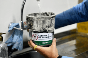 Casos de dengue aumentam 25% no RN