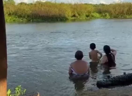 Ataque de piranha é registrado em mais uma cidade do RN: ‘Senti aquela mordida e gritei', diz vítima