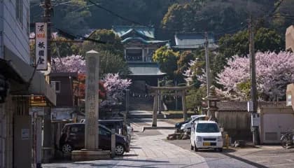 Cidade no Japão entra em alerta após gato cair em tanque de químicos perigosos