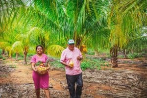 Solenidade de inauguração da fábrica de Polpa de Frutas em Guamaré contará com a presença da Governadora Fátima Bezerra
