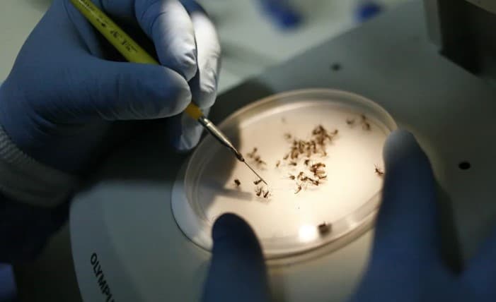 Estudo alerta que aumento de casos de dengue pode provocar queda de R$ 7 bilhões no PIB