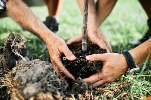 Morada da Paz participa da Semana da Água com ação de plantio de mudas no rio Pitimbú em Natal