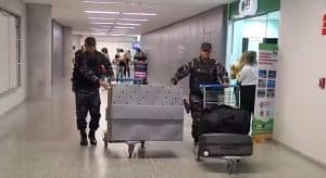 Cão farejador de Mato Grosso chega ao RN para auxiliar nas buscas por fugitivos da Penitenciária de Mossoró