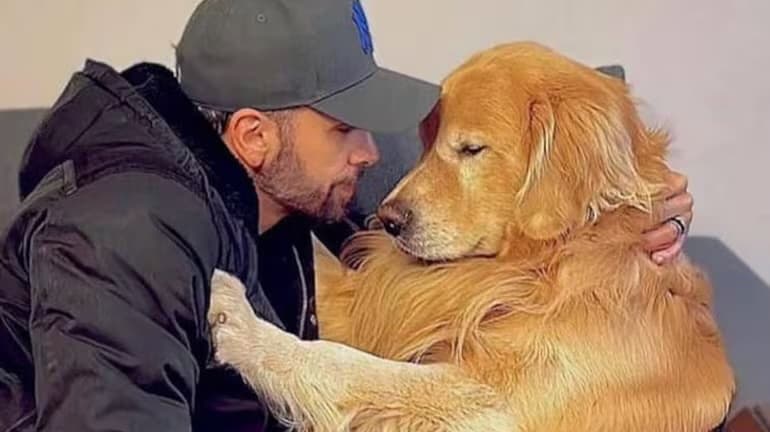 Após morte do cachorro Joca, governo anuncia política de Transporte Aéreo de Animais